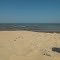Pike Street Beach