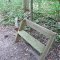Hammer(Anna Brand) ACRES Nature Preserve