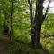 Acres Along The Wabash ACRES Preserve