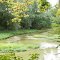 Acres Along The Wabash Preserve, ACRES