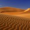 Sand Dunes of U.A.E