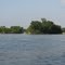Staff Island on the Wabash River