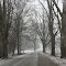County Road 800S at Lyford, Indiana