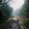 October Morning Fog