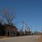 Roadside beauty ,Lumpkin