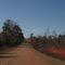 Hint of red soil