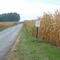Aylesworth Rd, Indiana