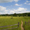 Colored Sands Forest Preserve