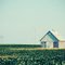 Windmill farm in Odell, IL