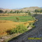 Dallan Road Mamoo