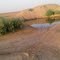 pond 1