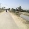 Salehani Canal (Abid Pitafi)