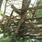 Split Rail Fence ~ New Salem Illinois