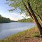 Spring Morning at the Illinois River North of Hardin