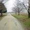 Beecher Farm, looking east down the lane.