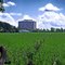 University Park: Field