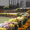 Ijaz Ahmad Mughal---Supreme Farms Tibbewala Khu Gujranwala Road Sheikhupura Pakistan