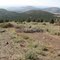Hiking down the horrid ATV scar track (junction with loop trail is underneath powerlines