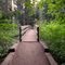 Upper Bridge - Shevlin Park