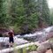 Heading up Tumalo Creek