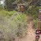 Final road-crossing on upper Tumalo Canyon/Mrazek loop