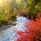 Shevlin Park. Bend, Or.