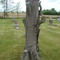 Bethel Cemetery Argos, IN