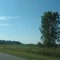 Highwayside tree
