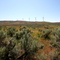 Wind Mills & Barbed Wire...