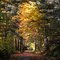 Banks-Vernonia State Trail