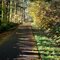 Banks-Vernonia State Trail