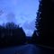 Wilson River Highway near Lyda RD