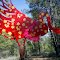Art on the Trail III: Flaming Chicken Installation (variant)