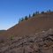 Newberry Lava field