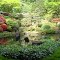 jardin japonesa