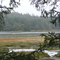 South Slough