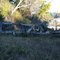 The Ferry Graveyard