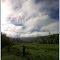 Coos-Sumner Road View (suz)