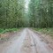 Road