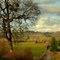 Golden valley near Carlton Oregon