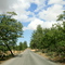 Dufur Gap Road...