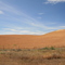 Wheat.....