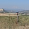 Bird house and Mount Hood