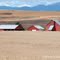Three Red Barns