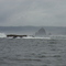 Behind Haystack Rock