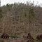 Storm damage, Dec 2, 2007