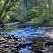 Shady creek along Route 26, Oregon