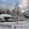 Snowy Day