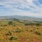 Halfway, Or Panorama