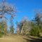 oak nob cow creek
